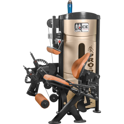 Mesa extensora e flexora sentado